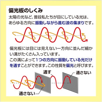 偏光板(実験用) アーテック[学校教材・教育玩具]