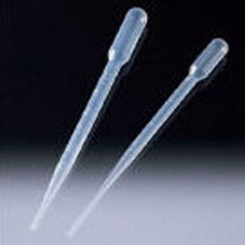 29825 �G�R�m�X�|�C�g �T���v���e�b�N 49036416