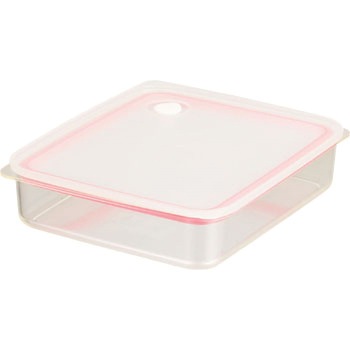 Easy Clean 浅型密閉保存容器 パール金属