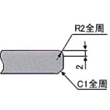 CWXT-150200 オイレス♯ウェアプレート板厚10mm(2穴タイプ) 1個