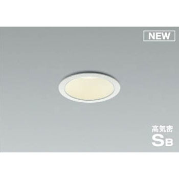 AD1001W35 _ECg RCY~ 49211804