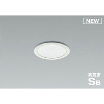 AD1001W50 �_�E�����C�g �R�C�Y�~ 49211813