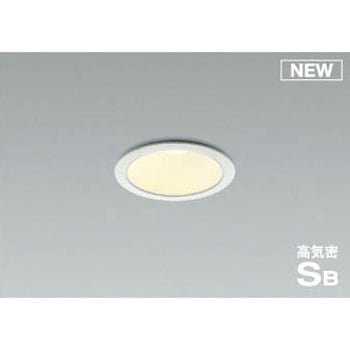 AD1004W27 _ECg RCY~ 49211856