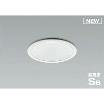 AD1006W50 _ECg RCY~ 49211935