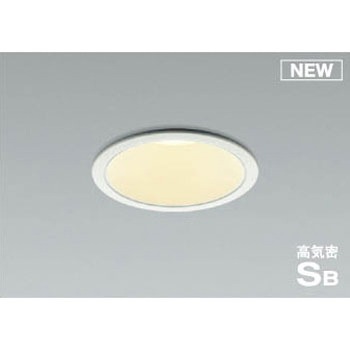 AD1007W27 _ECg RCY~ 49211944