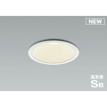 AD1007W35 _ECg RCY~ 49211953