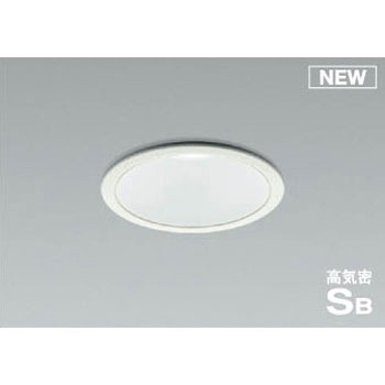 AD1007W50 _ECg RCY~ 49211969