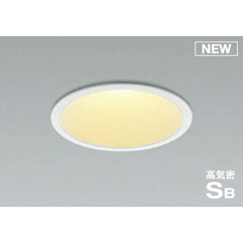 AD1011W27 _ECg RCY~ 49212005