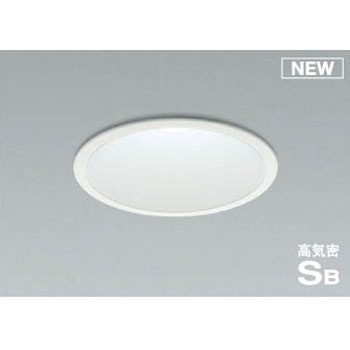 AD1011W50 _ECg RCY~ 49212023