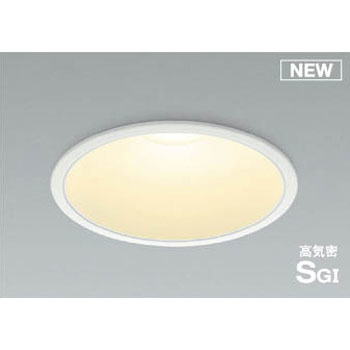 AD1013W27 �_�E�����C�g(���V��p�E�n�C�p���[�^�C�v) �R�C�Y�~(���򐬊�) Ra82 ��̌^ 49212127