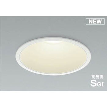 AD1013W35 �_�E�����C�g(���V��p�E�n�C�p���[�^�C�v) �R�C�Y�~(���򐬊�) Ra82 ��̌^ 49212136