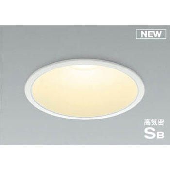 AD1014W27 �_�E�����C�g(���V��p�E�n�C�p���[�^�C�v) �R�C�Y�~(���򐬊�) Ra82 ��̌^ 49212154