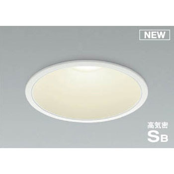 AD1014W35 �_�E�����C�g(���V��p�E�n�C�p���[�^�C�v) �R�C�Y�~(���򐬊�) Ra82 ��̌^ 49212163