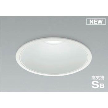 AD1014W50 �_�E�����C�g(���V��p�E�n�C�p���[�^�C�v) �R�C�Y�~(���򐬊�) Ra82 ��̌^ 49212179