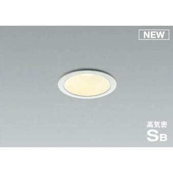 AD1061W27 �_�E�����C�g(���p�^�C�v) �R�C�Y�~(���򐬊�) Ra82 49213186