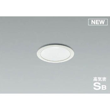 AD1061W50 �_�E�����C�g(���p�^�C�v) �R�C�Y�~(���򐬊�) Ra82 49213204