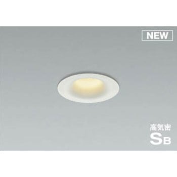 AD1103W27 �_�E�����C�g �R�C�Y�~(���򐬊�) 49213457