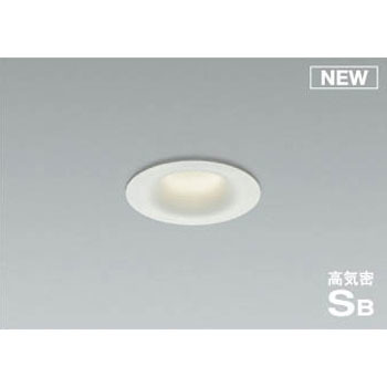 AD1107W35 �_�E�����C�g �R�C�Y�~(���򐬊�) 49213545