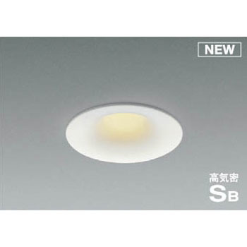 AD1111W35 �_�E�����C�g �R�C�Y�~(���򐬊�) 49213624