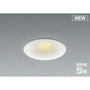 AD1112W35 �_�E�����C�g �R�C�Y�~(���򐬊�) 49213667