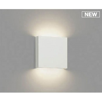 AB50242 �u���P�b�g���C�g �R�C�Y�~(���򐬊�) Ra82 49214236