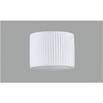 AE49321E X^h RCY~ 49218497