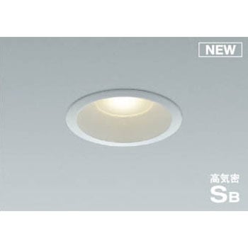 AD50603 �_�E�����C�g(�p�l���^�C�v) �R�C�Y�~ 49222198