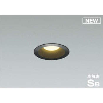 AD50610 �_�E�����C�g(�p�l���^�C�v) �R�C�Y�~ 49222268