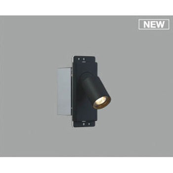 AB50652 �u���P�b�g���C�g �R�C�Y�~(���򐬊�) 49222609