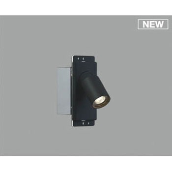 AB50654 �u���P�b�g���C�g �R�C�Y�~(���򐬊�) 49222627