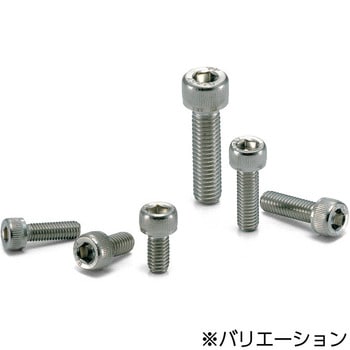 SNSS-FC 六角穴付きボルト 【SEAL限定商品】 フッ素コーティング 正規通販