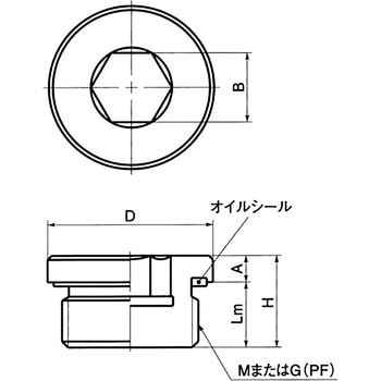 SPN-L フランジ付き六角穴付きスクリュープラグ NBK(鍋屋バイテック会社)