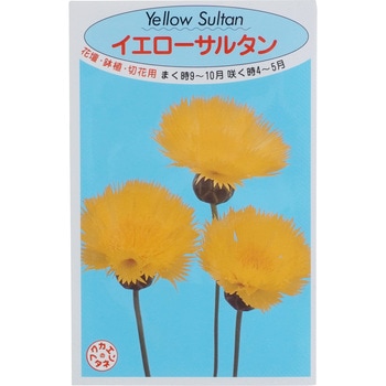 タネ イエローサルタン 福花園 植物 草花の種 通年 通販モノタロウ