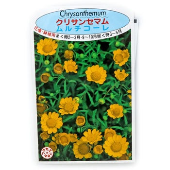 913416 �y�^�l�z�N���T���Z�}�� ���ԉ� ��^�C�v 49415284