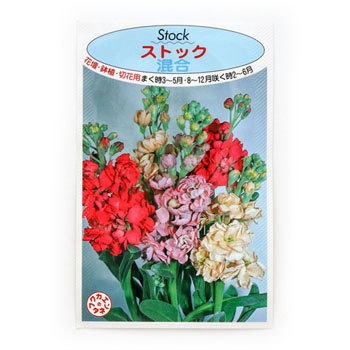 913485 �y�^�l�z�X�g�b�N ���� ���ԉ� 49415345