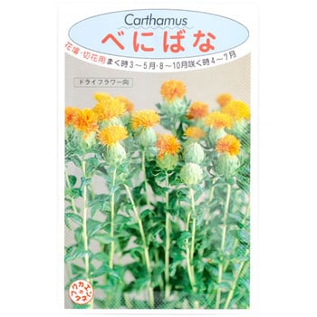 【タネ】べにばな 福花園