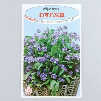 【タネ】わすれな草 福花園