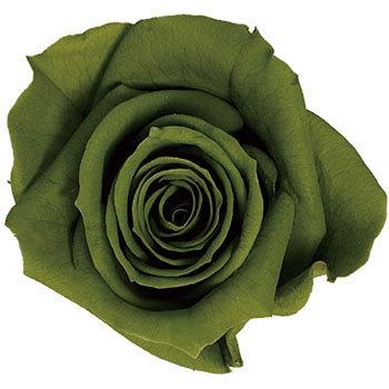 �I���[�u �v���U�[�u�h �v���}���F�[�� �r�b�O�x�x Primavera(�v���}���F�[��) 49416702