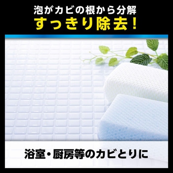 R'S PRO 強力カビとり クリーナー リンレイ