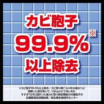 R'S PRO 強力カビとり クリーナー リンレイ