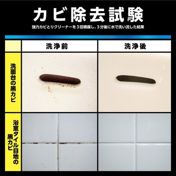 R'S PRO 強力カビとり クリーナー リンレイ