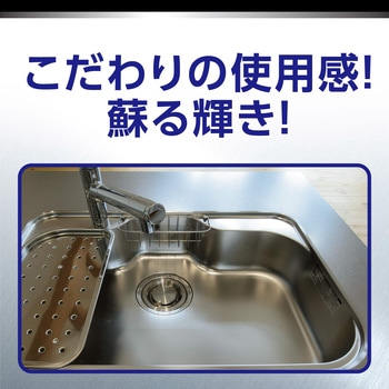 R'S PRO ステンレスクリーナー リンレイ