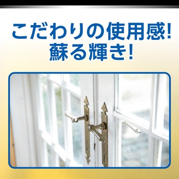 R'S PRO メタルポリッシュ リンレイ