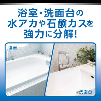 R'S PRO 強力バスクリーナー リンレイ