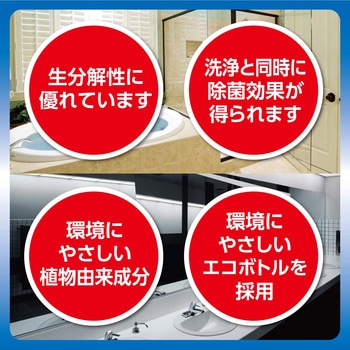 R'S PRO 強力バスクリーナー リンレイ