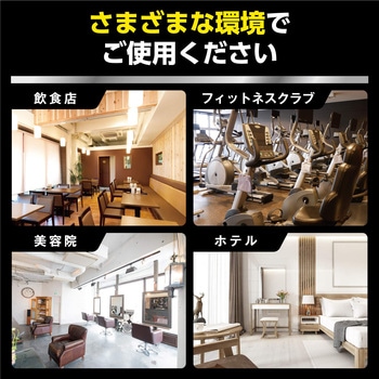R'S PRO ガラスクリーナー リンレイ