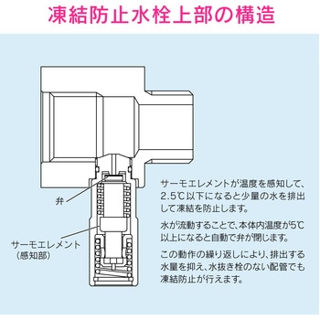 これカモ 凍結防止ソケット GAONA(ガオナ)