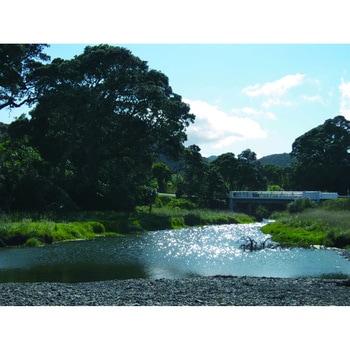 偏光サングラス - 日本光器製作所(NIKKO)