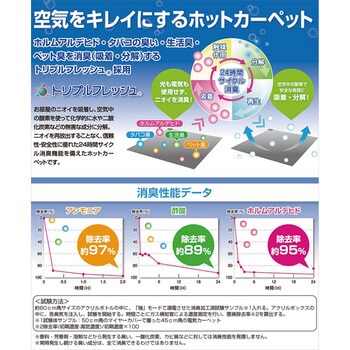 SUS-162 空気をキレイにする ホットカーペット 本体 1枚 YAMAZEN(山善