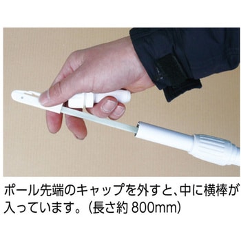 桃太郎旗(専用伸縮ポール付) つくし工房